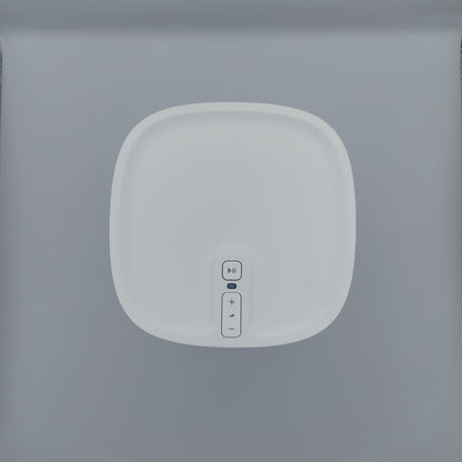 Sonos Play 1 (18-5)