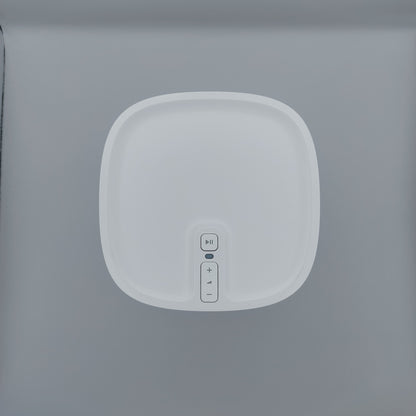Sonos Play 1 (F4-A)