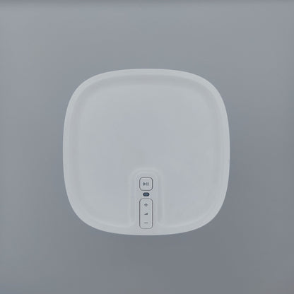 Sonos Play 1 (B4-4)