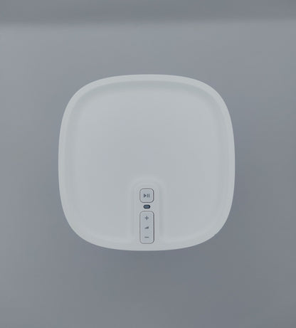 Sonos Play 1 (A8-0)