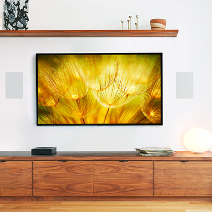 Sonos/Sonance In-Wall sett (0539)