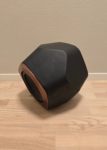 Bang & Olufsen Beolab 19 (5766)