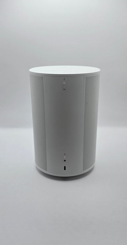 Sonos Era 100 (90-2)