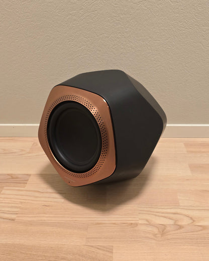 Bang & Olufsen Beolab 19 (5766)